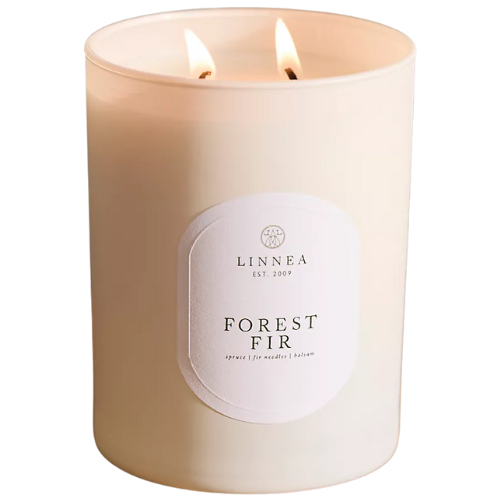 Linnea Candle, Forest Fir Anthropologie
