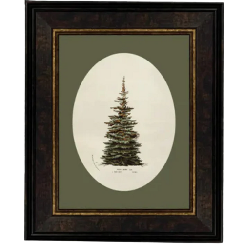 House of Jade Home Oval Matte Tree christmas art print