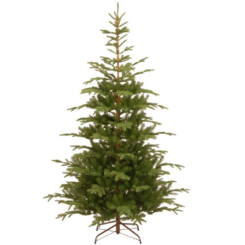 7.5ft. Norwegian Spruce Tree Wayfair