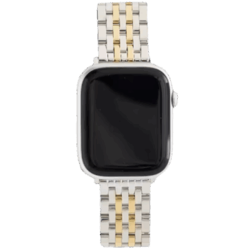 Quince Stainless Steel Bracelet Apple Watch Band