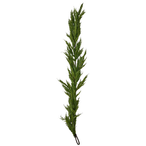 Wayfair North America The Holiday Aisle® 6' Cedar Garland
