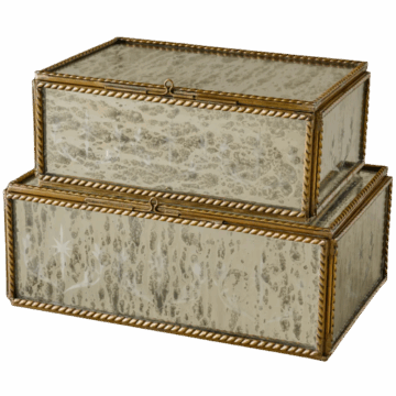 Magnolia Helana Mercury Glass Accent Box