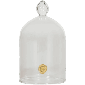 Alice Lane Home Collection GLASS CLOCHE