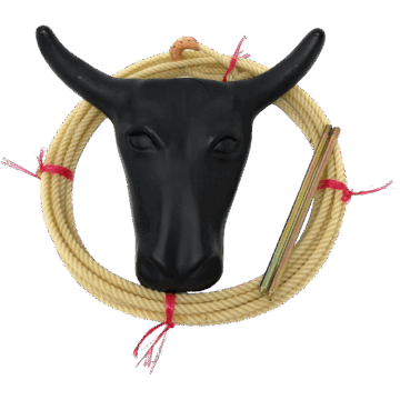 Amazon (US) AJ Tack Junior Steer Head Dummy Set rodeo