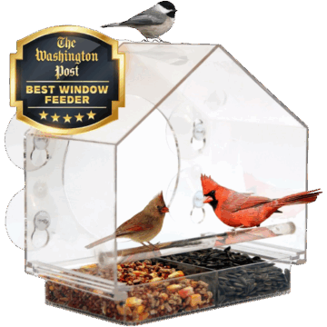 Amazon (US) Nature Anywhere Window Bird Feeder - Transparent Acrylic