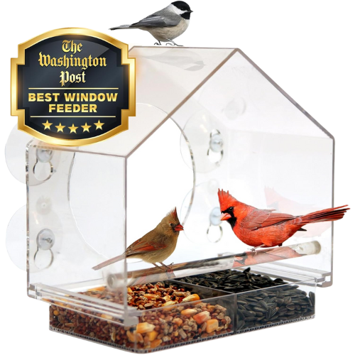Amazon (US) Nature Anywhere Window Bird Feeder - Transparent Acrylic