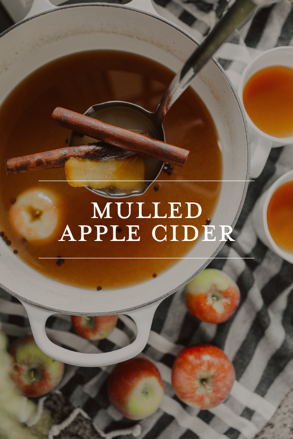 Mulled apple cider with cinnamon sticks and fresh apples in a cozy setting, perfect for fall and holiday gatherings.