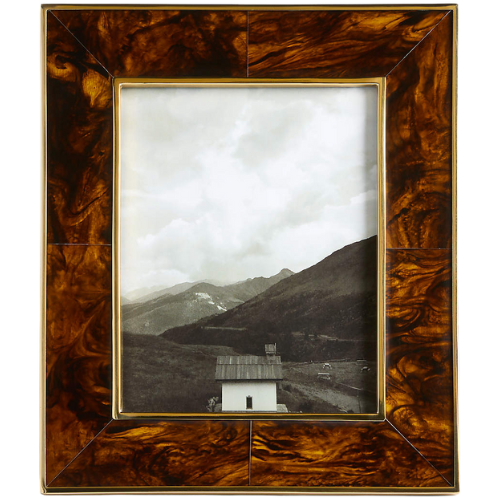 Tortoise Brass Resin 8x10 Picture Frame | Crate & Barrel
