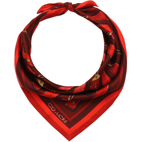 Coach Horse & Carriage Hangtag Silk Scarf Bandana Nordstrom