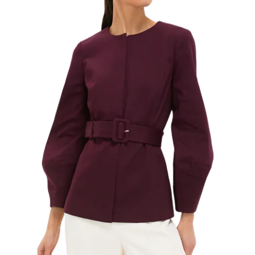 Long Sleeve Structured Rhoda Tunic Top Tuckernuck