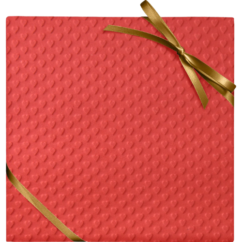 Paper Source Red Heart Embossed Handmade Paper wrapping gift wrap