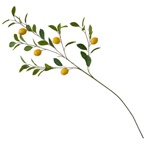 Magnolia Lemon Citrus Stem