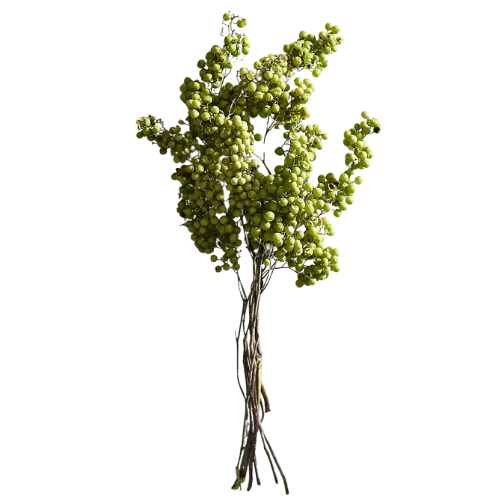 Terrain Preserved Pepperberry Bunch