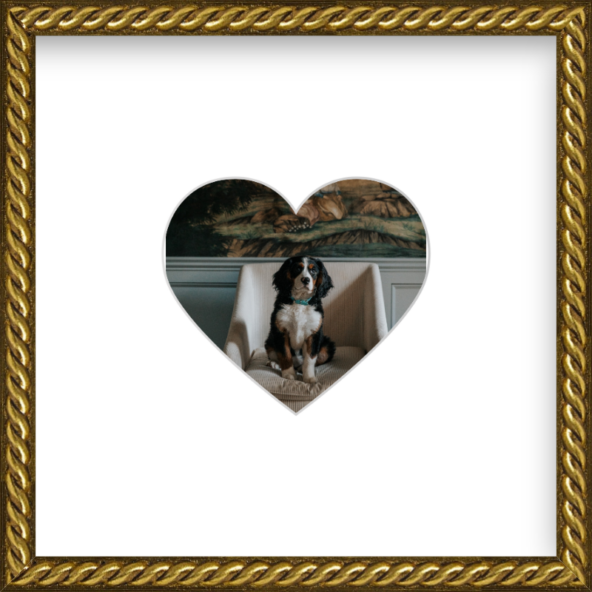 Framebridge The Heartstagram
