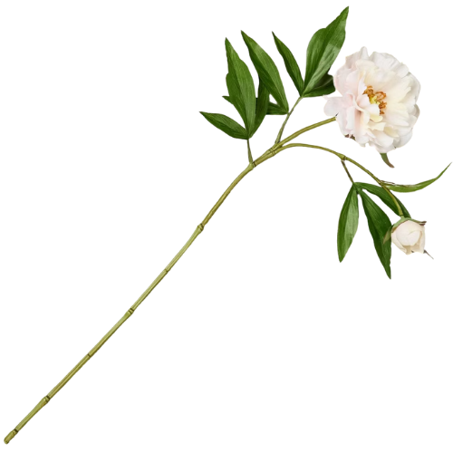 Target 25" Peach Peony Spray Artificial Stem Pink - Hearth & Hand