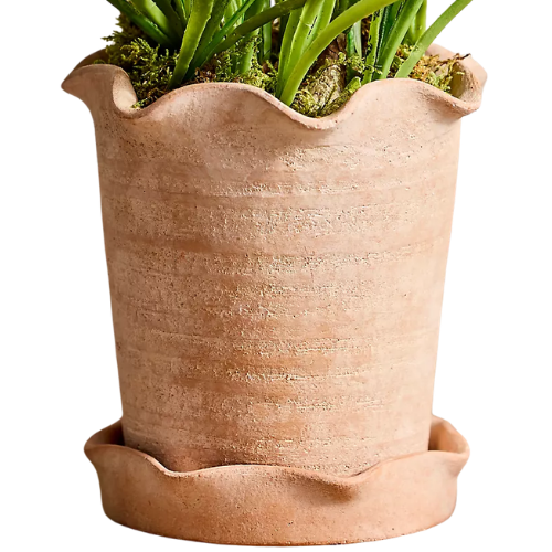 Terracotta Pie Crust Rim Planter Anthropologie