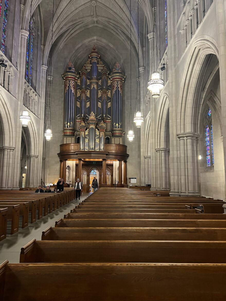 Interior view of St. Patrick's Cathedral showcasing its grand pipe organ, vaulted ceilings, and wooden pews in a historic Gothic-style church.