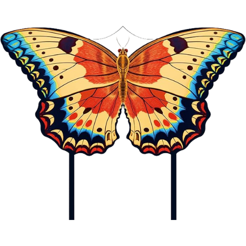 Butterfly Kite for Kids Amazon