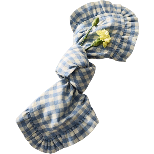 Anthropologie (US) Brynn Gingham Napkins, Set of 2