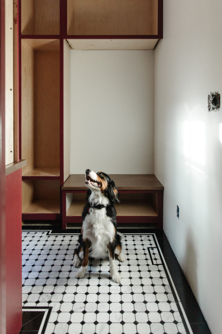 A Burmese Mountain Dog named Cricket sitting happily on a new black & white marble tile floor in a checker pattern with black border