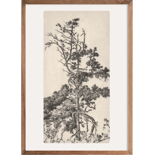 Tree Tops Vintage Sketch Art Print Etsy Etching
