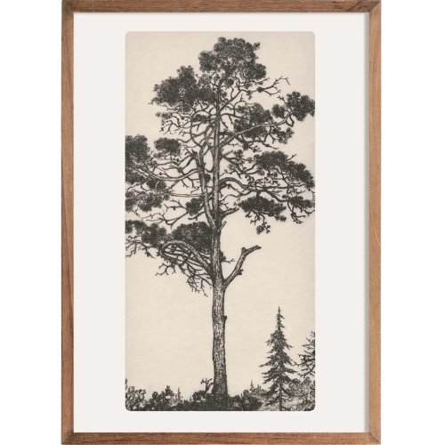 Tree Tops Etching Art Print Vintage
