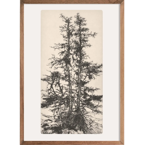 Tree Tops Etching