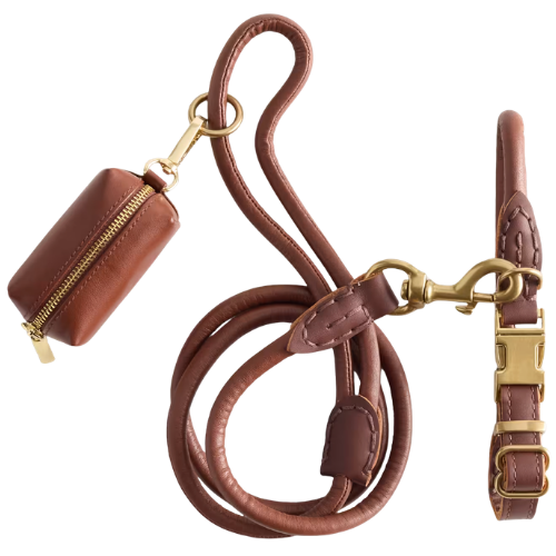 Quince Italian Leather Dog Collar Walk Kit in Brown