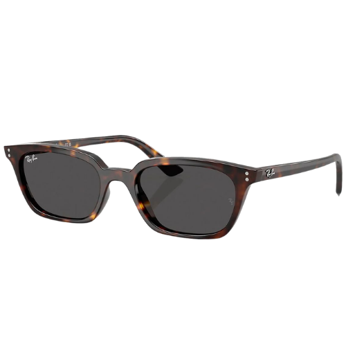 Ray Ban Zaya Bio Based Sunglasses