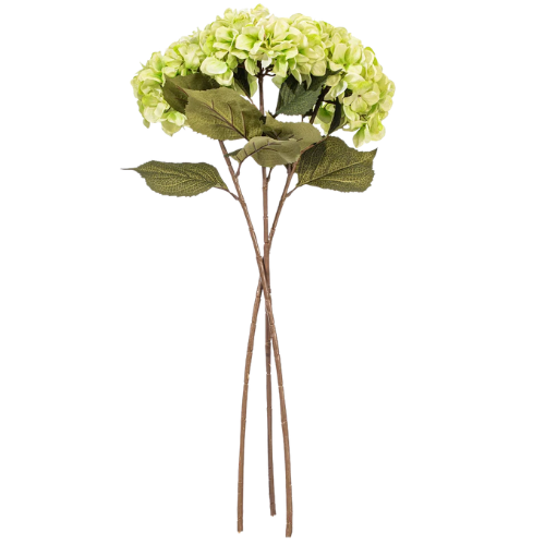 Green Hydrangea Stem (Set of 3)
