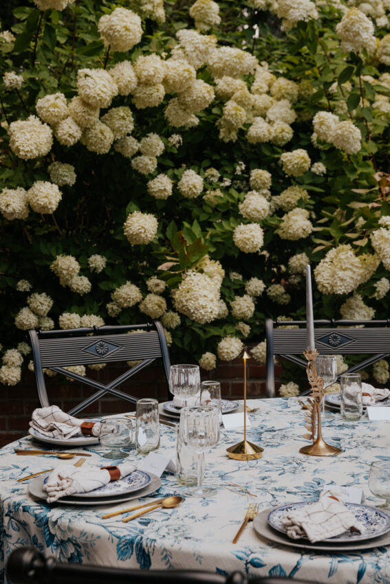 Limelight hydrangeas towering over a beautiful backyard dinner party with tables set in modern, traditional style