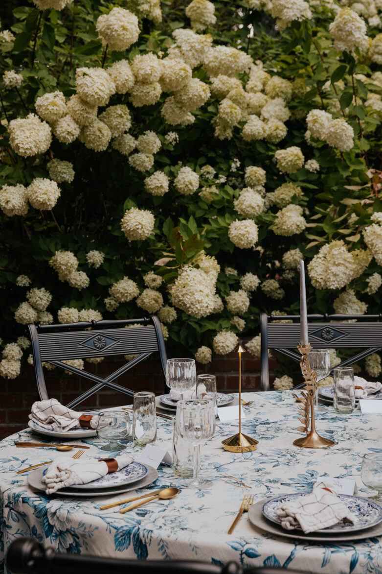 Limelight hydrangeas towering over a beautiful backyard dinner party with tables set in modern, traditional style