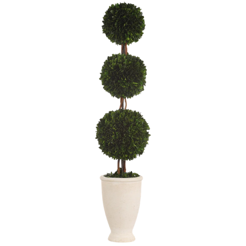 Perigold Uttermost Boxwood Topiary Plant in Terracotta Planter