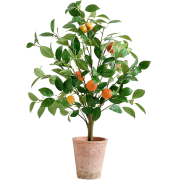 Pottery Barn (US) Faux Potted Orange Topiary