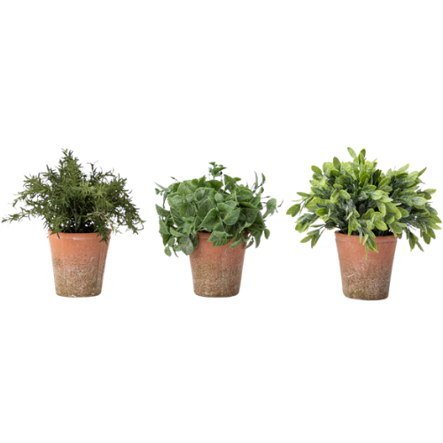 McGee & Co. (US) Soft Potted Herbs (Set of 3)