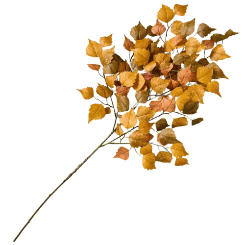 36″ Fall Cottonwood XL Stem – Hearth & Hand